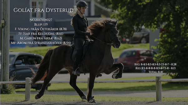 Skjermbilde 2026 02 10 kl. 09.32.49