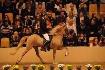 Iben laufa