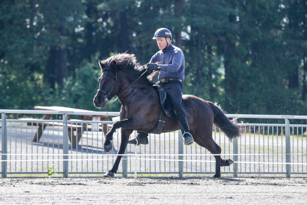 Ballerina galopp