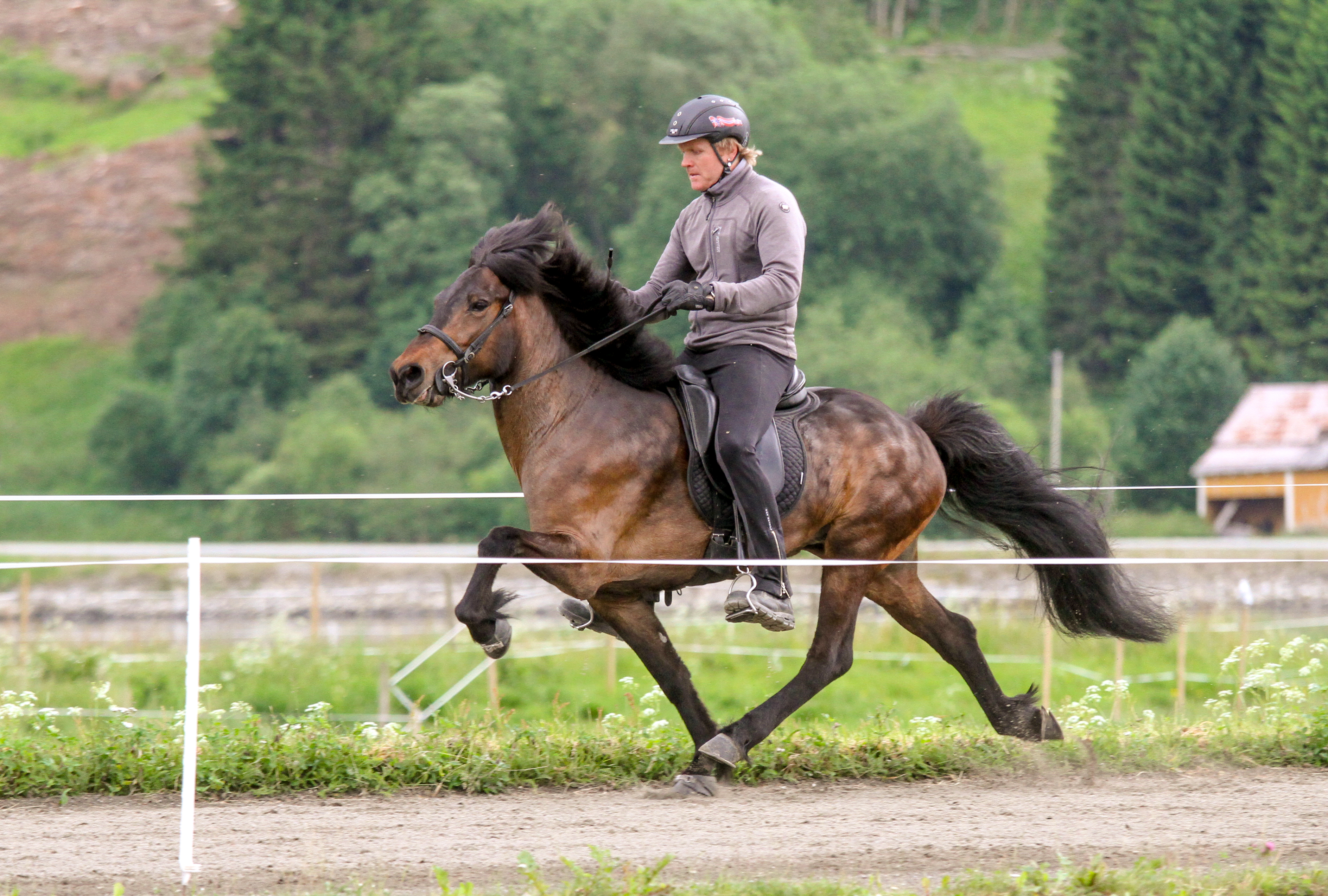 Oversiktsvisning 484