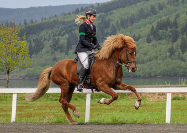 Ros midtnorsk 2017 3 of 3