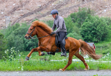 Arion Rideprve 2 of 3