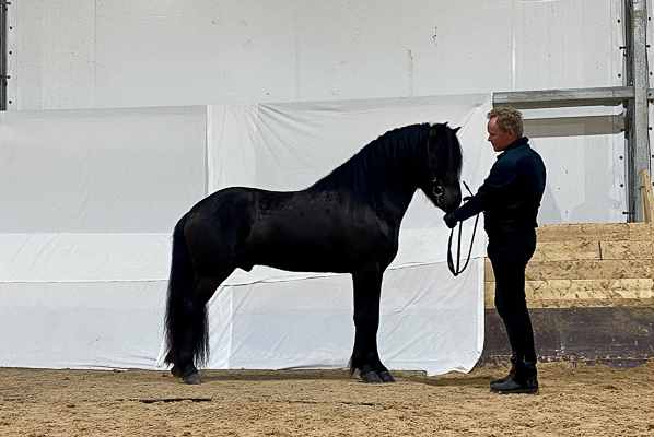 Vali bilder hk 0375