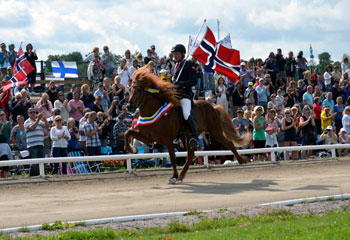 Globus med flagg Nordisk 20