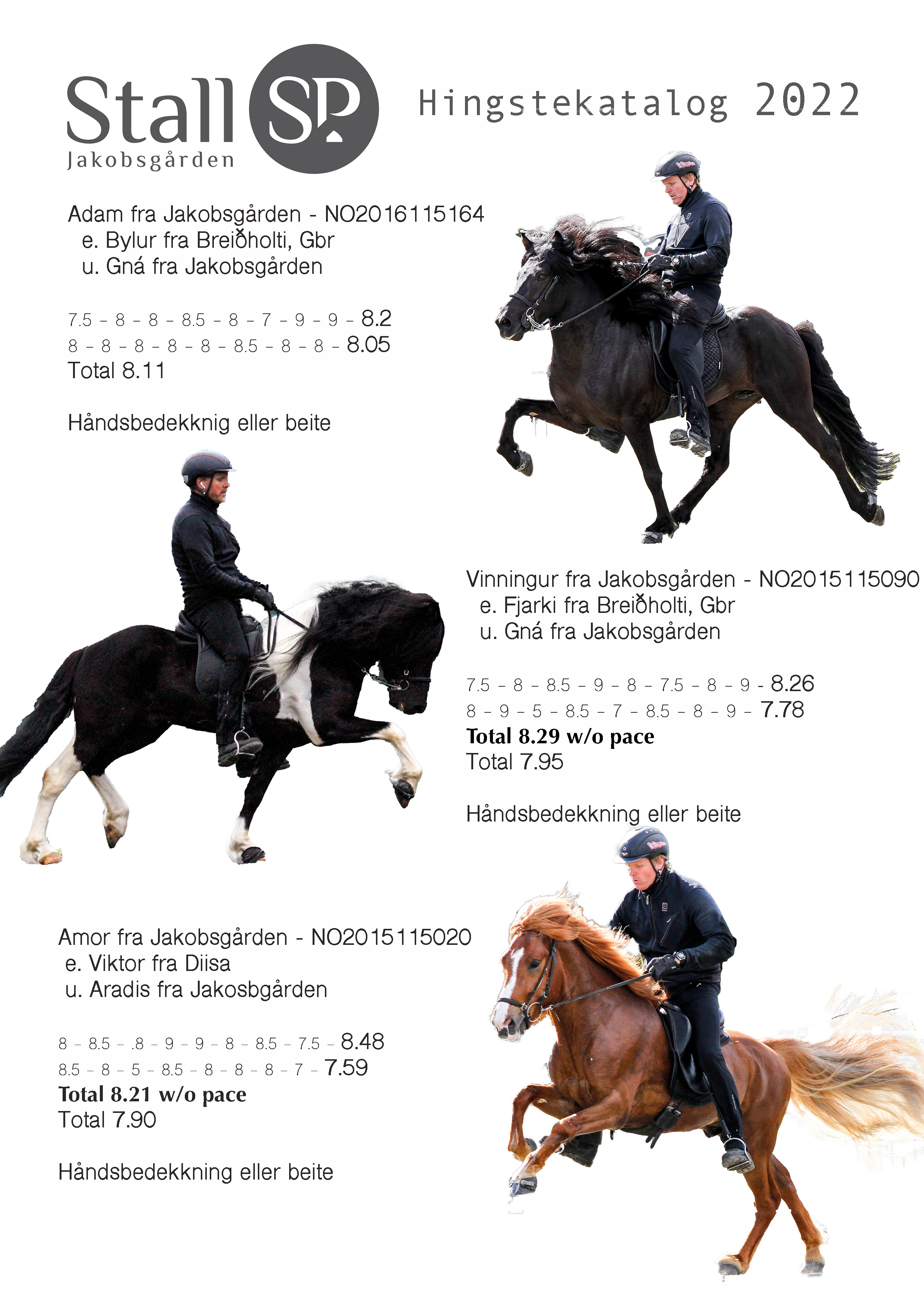 Hingstekatalog Ada vin Amo 