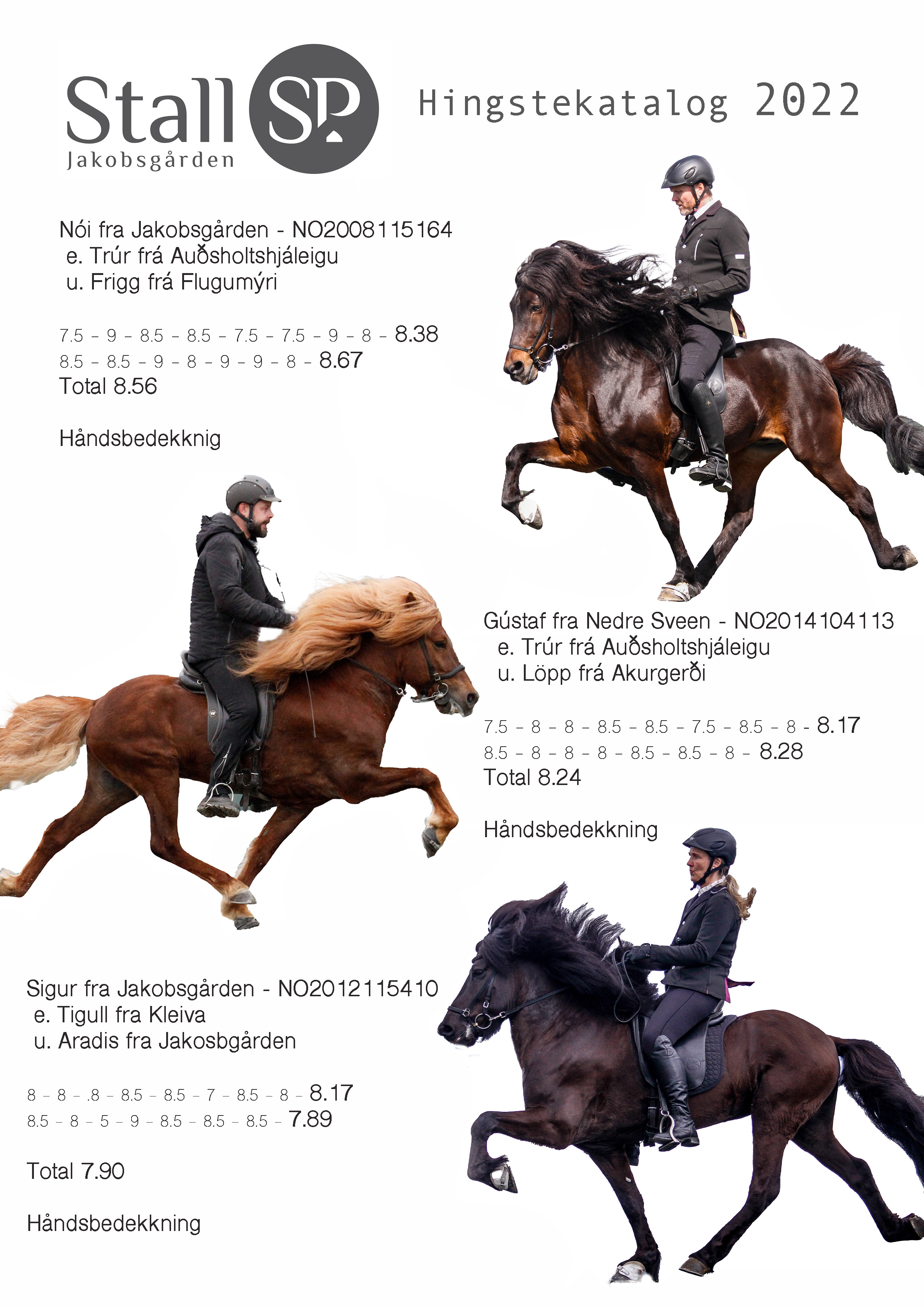 Hingstekatalog Noi Gus Sig 2