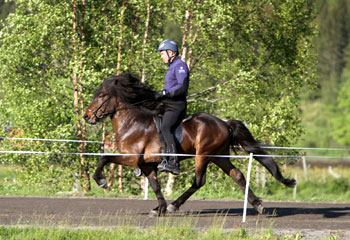 Noi trening 4
